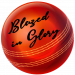 ball with sig1